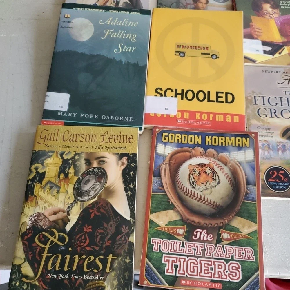 Lot of 33 Misc Titles  Gr 4-5 Leveled Reader Books Homeschool Classroom Tutor